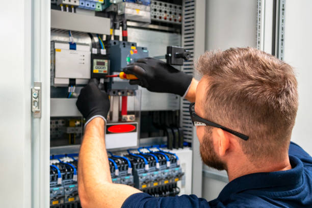 Best Electric Panel Repair  in Waukee, IA
